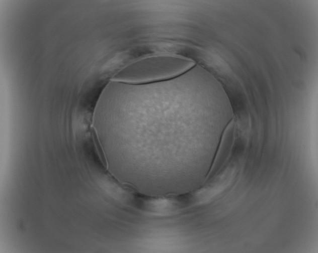 X0000113780237200910071230