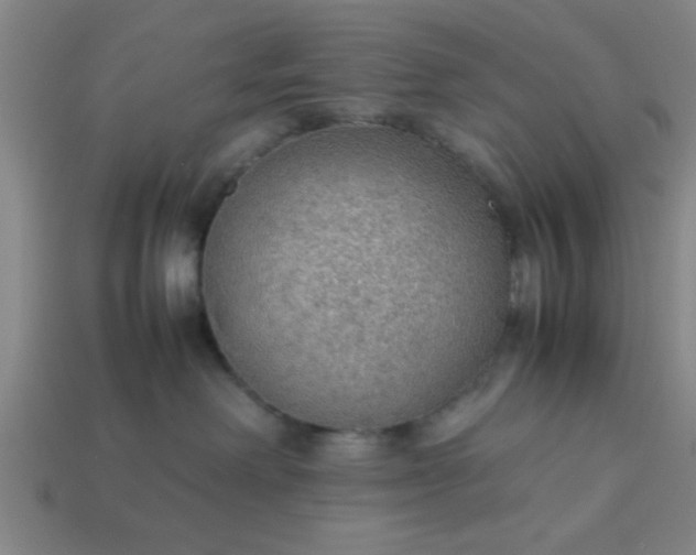 X0000113780238200910071230