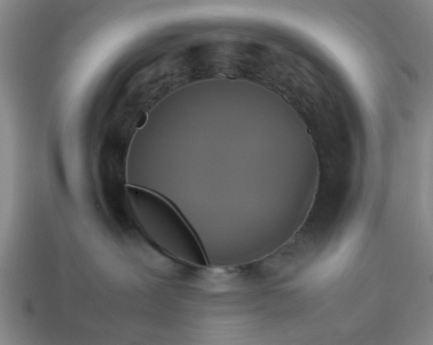 X0000113780239200910071230