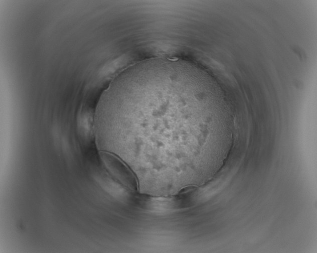 X0000113780240200910071230