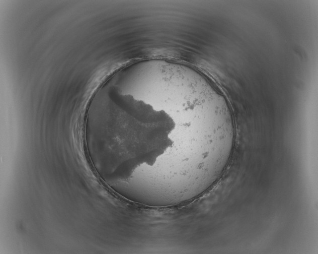 X0000113780241200910071229