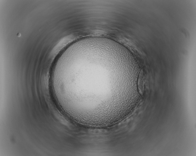 X0000113780242200910071229