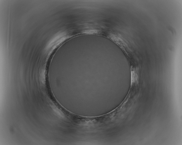 X0000113780243200910071229