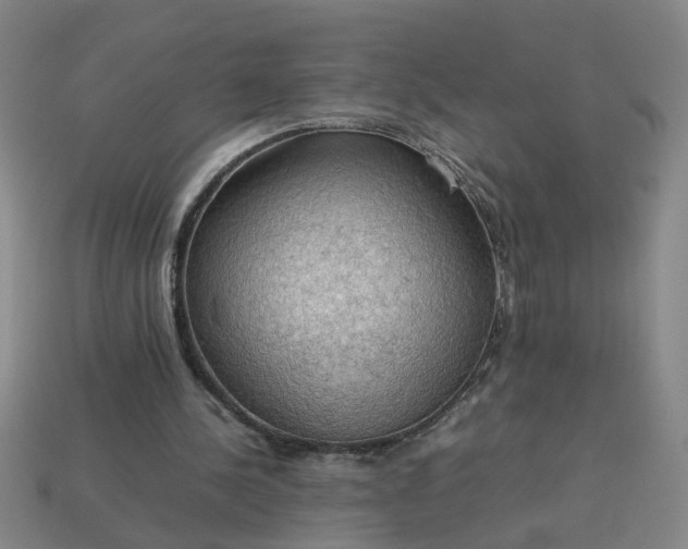 X0000113780244200910071229