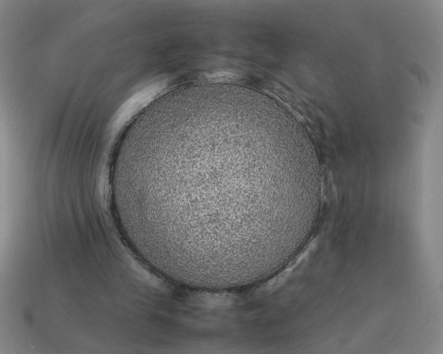 X0000113780245200910071229