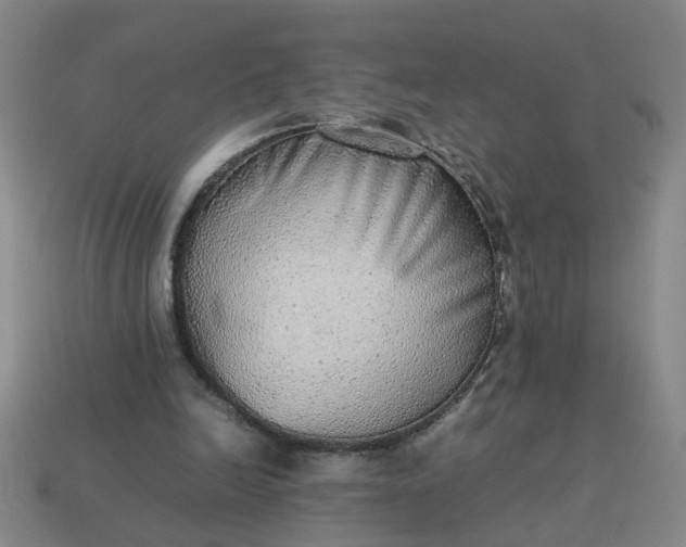 X0000113780246200910071229