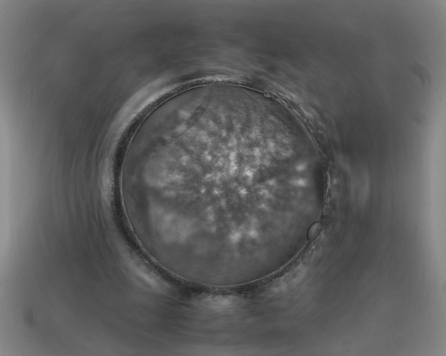 X0000113780247200910071229