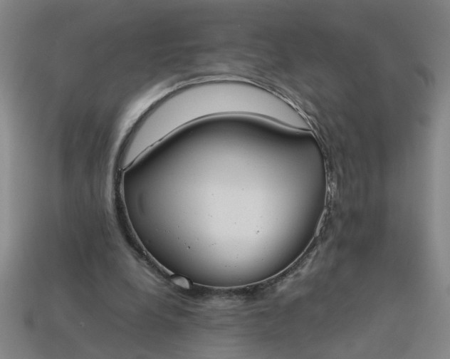 X0000113780248200910071229