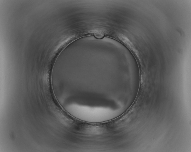 X0000113780249200910071229