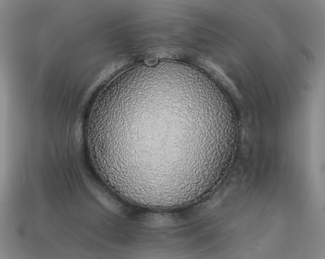 X0000113780250200910071229