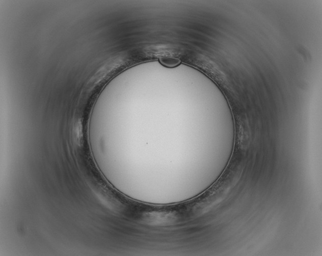 X0000113780251200910071229