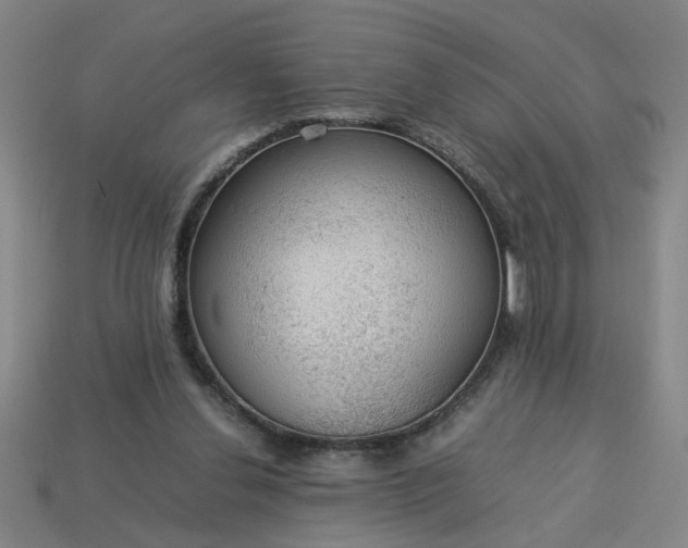 X0000113780252200910071229