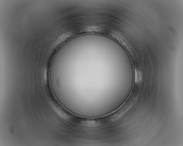 X0000113780253200910071229