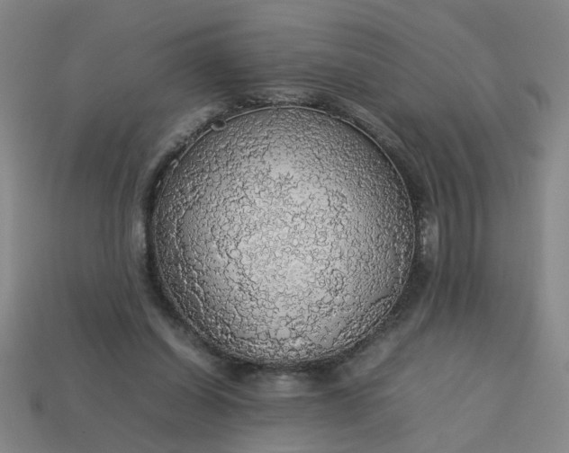 X0000113780254200910071229