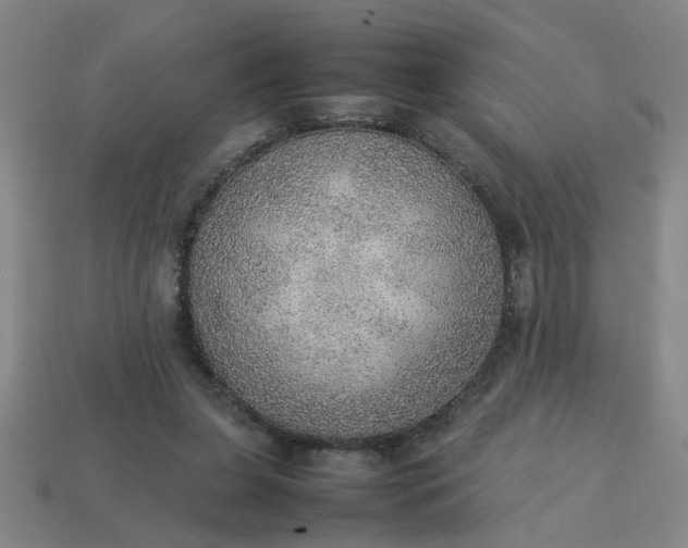 X0000113780255200910071229