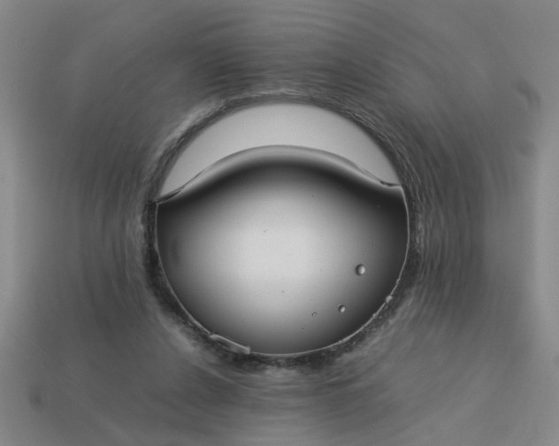 X0000113780256200910071229