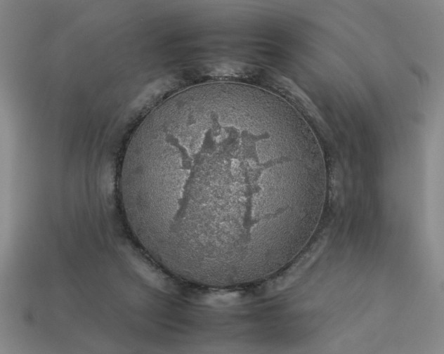 X0000113780257200910071229