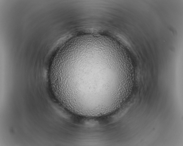 X0000113780258200910071229