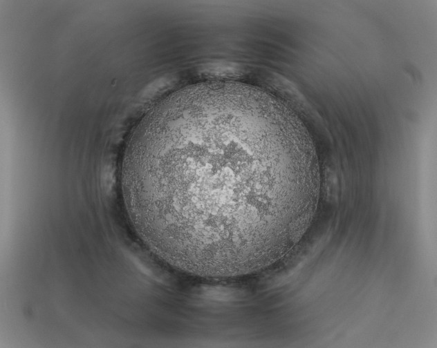 X0000113780259200910071229