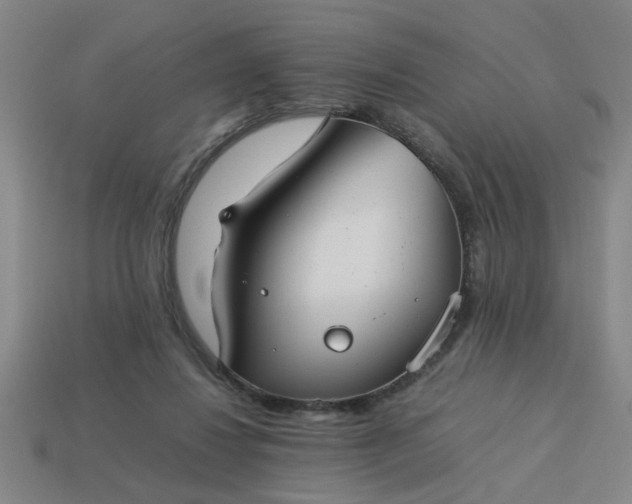 X0000113780260200910071229