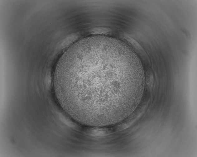 X0000113780261200910071229