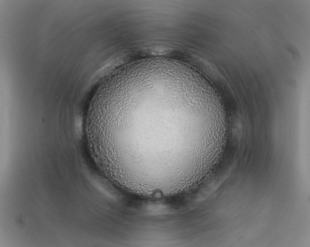 X0000113780262200910071230