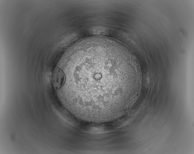 X0000113780263200910071230