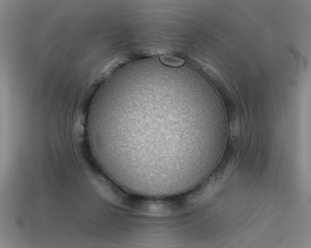 X0000113780264200910071230