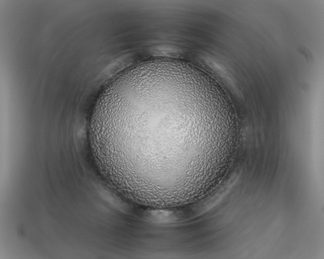 X0000113780265200910071230