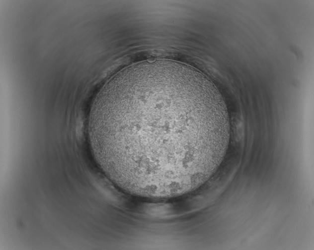 X0000113780266200910071230