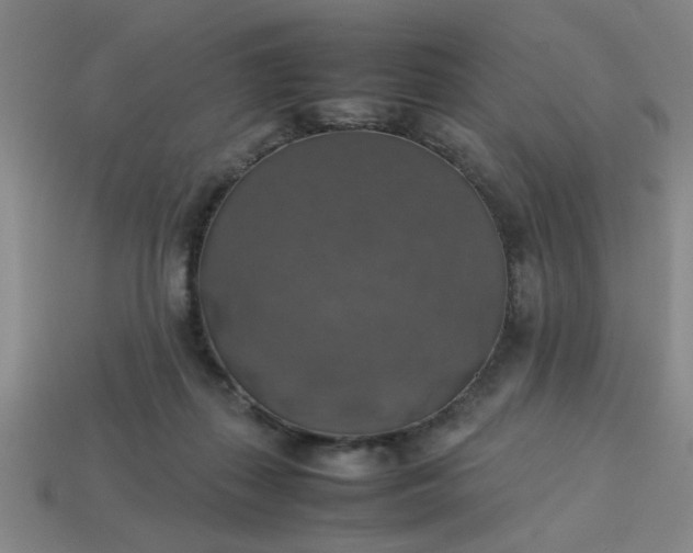 X0000113780267200910071230