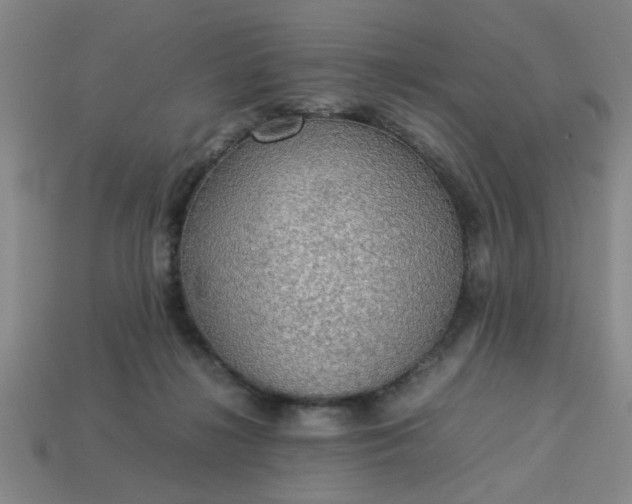 X0000113780268200910071230