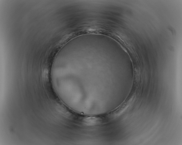 X0000113780269200910071230