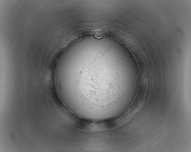 X0000113780270200910071230