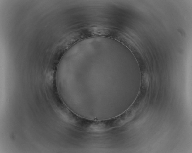 X0000113780271200910071230