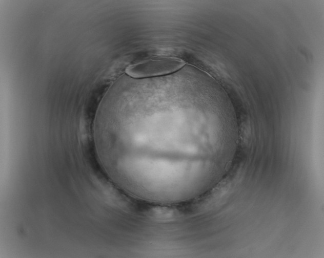 X0000113780272200910071230