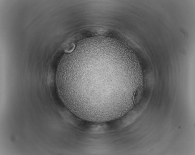 X0000113780274200910071230