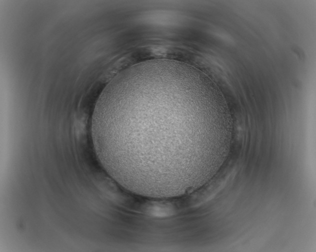 X0000113780275200910071230