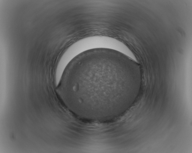 X0000113780276200910071230