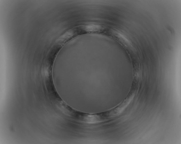 X0000113780277200910071230