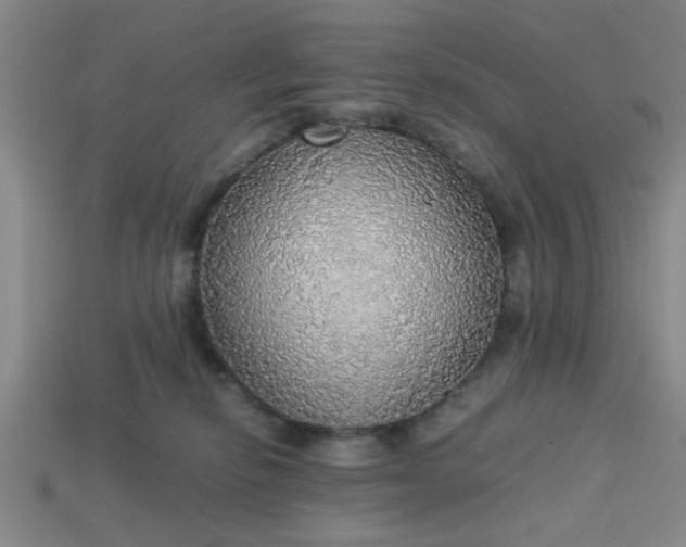 X0000113780278200910071230