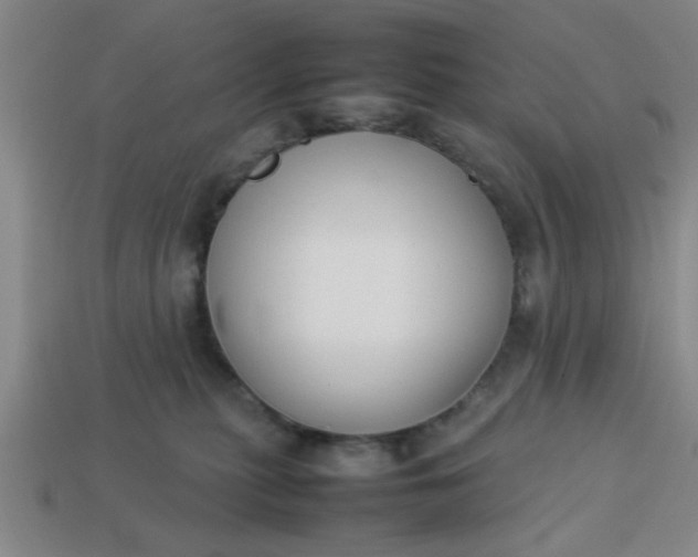 X0000113780279200910071230