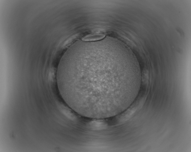 X0000113780280200910071230