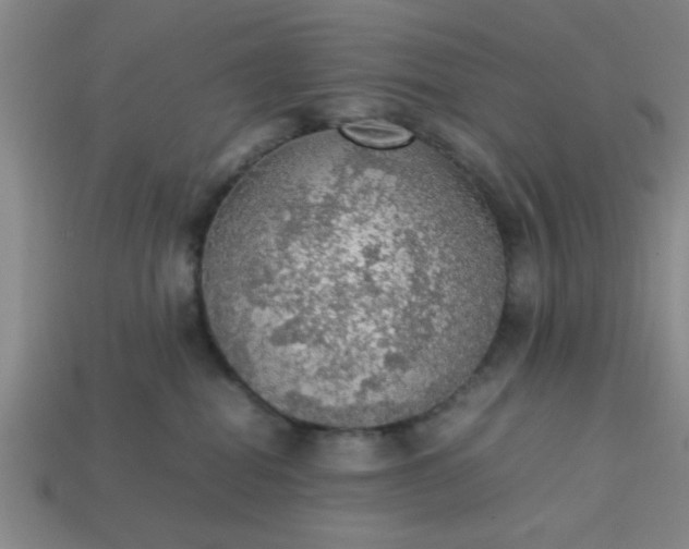 X0000113780282200910071230