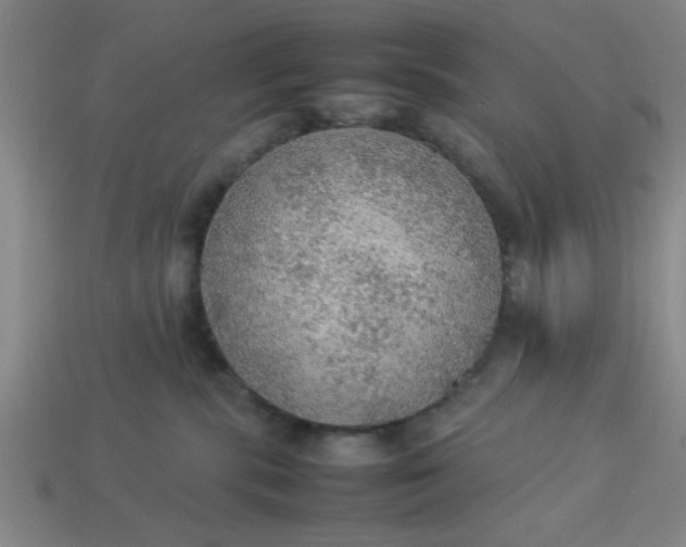 X0000113780283200910071230