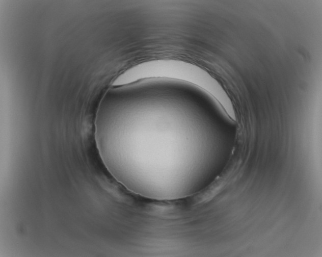 X0000113780284200910071230