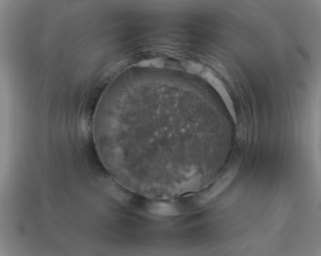 X0000113780285200910071230