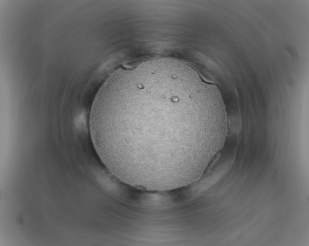 X0000113780286200910071230