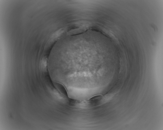 X0000113780288200910071230