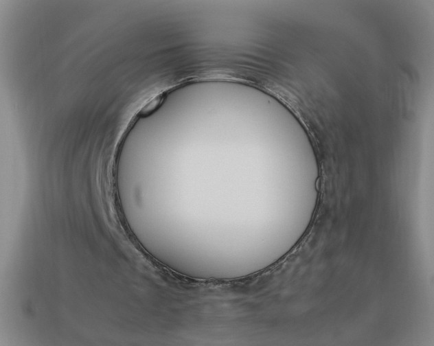 X0000113780289200910071229